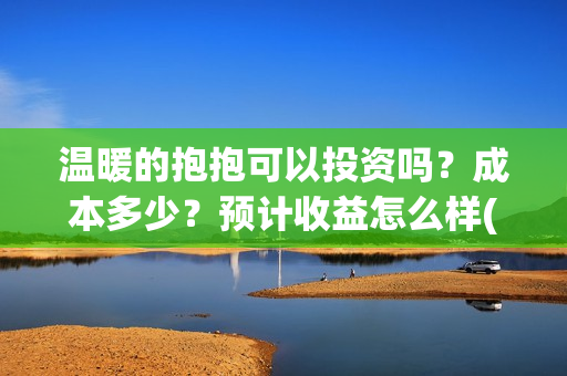 温暖的抱抱可以投资吗？成本多少？预计收益怎么样(温暖的抱抱咋样)