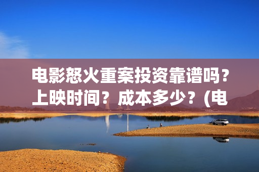 电影怒火重案投资靠谱吗？上映时间？成本多少？(电影《怒火重案》)