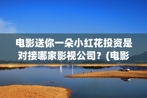 电影送你一朵小红花投资是对接哪家影视公司？(电影送你一朵小花)