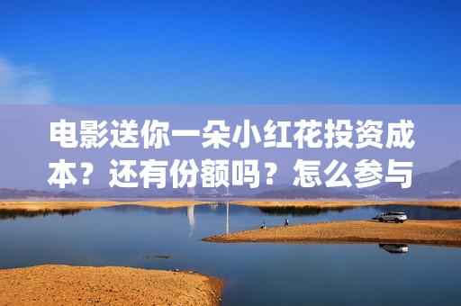 电影送你一朵小红花投资成本？还有份额吗？怎么参与？(电影送你一朵小红花的英文)