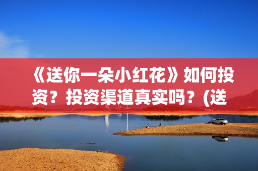 《送你一朵小红花》如何投资？投资渠道真实吗？(送你一朵小红花免费观看完整版)
