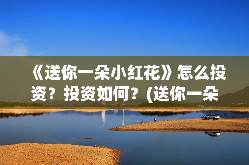 《送你一朵小红花》怎么投资？投资如何？(送你一朵小红花mp3下载)