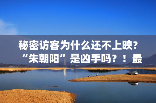 秘密访客为什么还不上映？“朱朝阳”是凶手吗？！最后的结局是怎样的？(秘密访客为什么要囚禁于困樵)