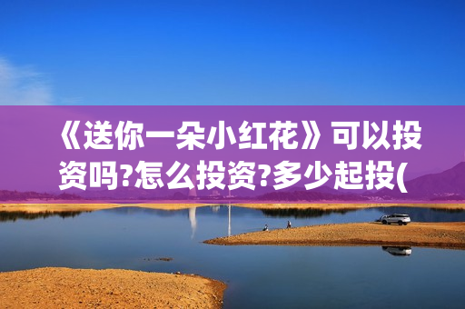 《送你一朵小红花》可以投资吗?怎么投资?多少起投(送你一朵小红花电影免费观看)