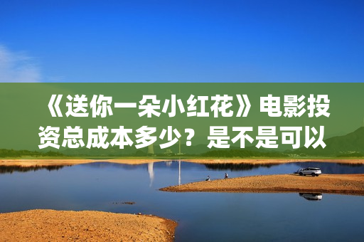 《送你一朵小红花》电影投资总成本多少？是不是可以投资？(送你一朵小红花免费观看完整版)