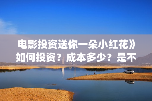 电影投资送你一朵小红花》如何投资？成本多少？是不是可以投资？(投资电影叫什么名字)