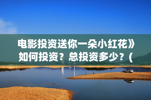 电影投资送你一朵小红花》如何投资？总投资多少？(电影投资独家揭秘)