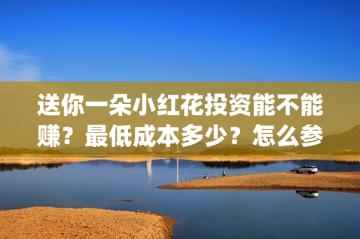 送你一朵小红花投资能不能赚？最低成本多少？怎么参与？(送你一朵小红花歌词)
