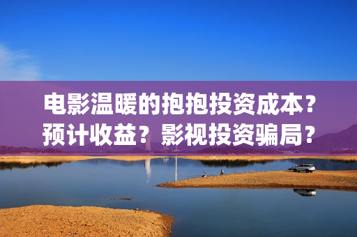 电影温暖的抱抱投资成本？预计收益？影视投资骗局？(电影温暖的抱抱免费观看完整版)