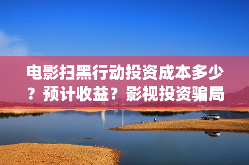 电影扫黑行动投资成本多少？预计收益？影视投资骗局？(扫黑行动电影简介)