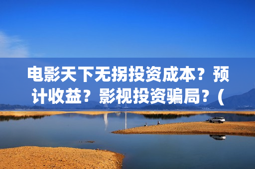 电影天下无拐投资成本？预计收益？影视投资骗局？(天下无拐电影怎么样)