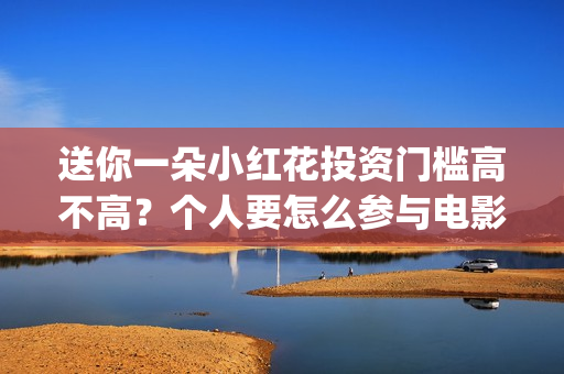 送你一朵小红花投资门槛高不高？个人要怎么参与电影的投资？(送你一朵小红花歌词)