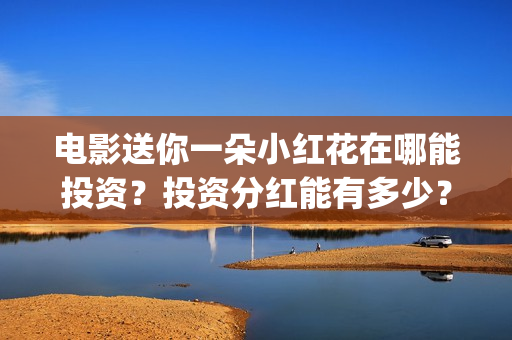 电影送你一朵小红花在哪能投资？投资分红能有多少？(电影送你一朵小红花演员表)