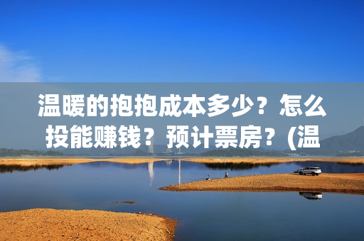 温暖的抱抱成本多少？怎么投能赚钱？预计票房？(温暖的抱抱成本3亿)