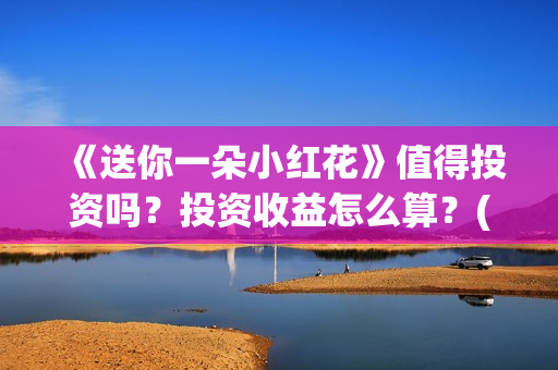 《送你一朵小红花》值得投资吗？投资收益怎么算？(送你一朵小红花mp3下载)