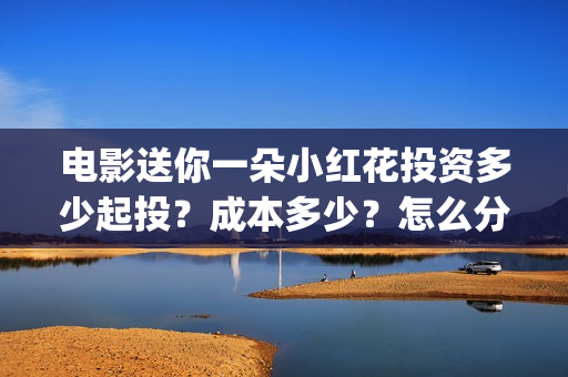 电影送你一朵小红花投资多少起投？成本多少？怎么分红？(电影送你一朵小红花讲述的主题是抗癌吗)