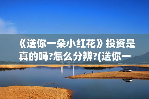 《送你一朵小红花》投资是真的吗?怎么分辨?(送你一朵小红花歌词表达什么意思)