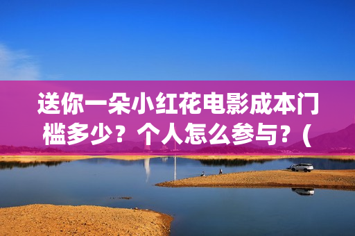 送你一朵小红花电影成本门槛多少？个人怎么参与？(送你一朵小红花结局)