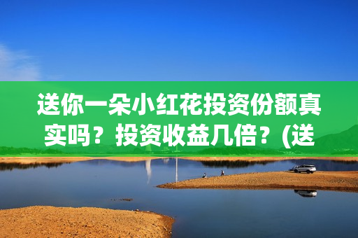 送你一朵小红花投资份额真实吗？投资收益几倍？(送你一朵小红花电影免费观看)