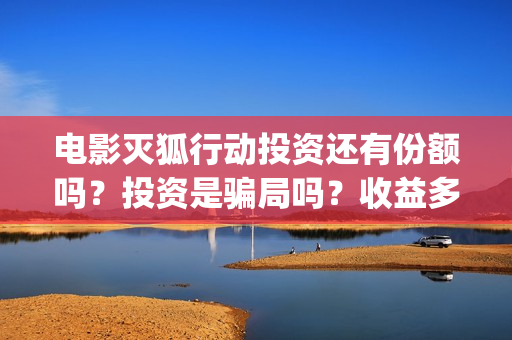 电影灭狐行动投资还有份额吗？投资是骗局吗？收益多少？(灭狐行动主演)