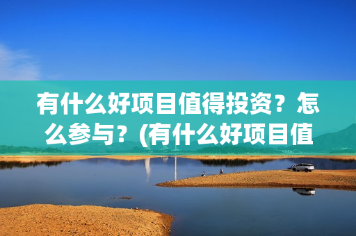 有什么好项目值得投资？怎么参与？(有什么好项目值得做)