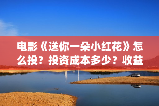 电影《送你一朵小红花》怎么投？投资成本多少？收益怎么算？(电影《送你一朵小红花》的导演和主演)