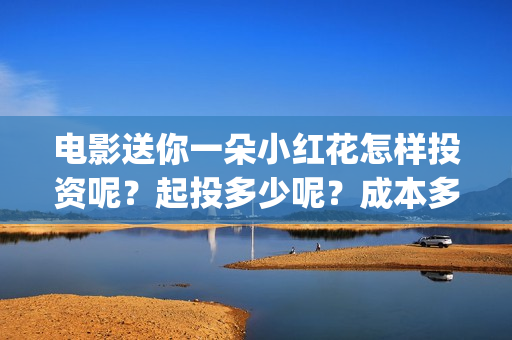 电影送你一朵小红花怎样投资呢？起投多少呢？成本多少(电影送你一朵小红花完整版免费观看)
