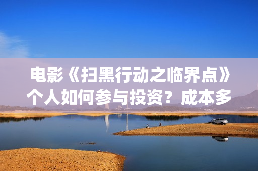 电影《扫黑行动之临界点》个人如何参与投资？成本多少？还有份额吗？(电影扫黑行动免费观看完整版)