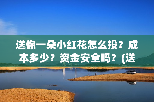 送你一朵小红花怎么投？成本多少？资金安全吗？(送你一朵小红花演员表)