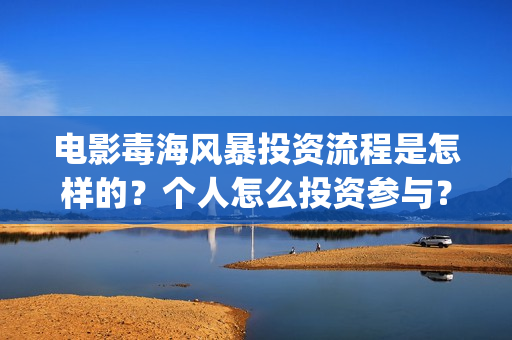 电影毒海风暴投资流程是怎样的？个人怎么投资参与？(毒海风暴上映时间)