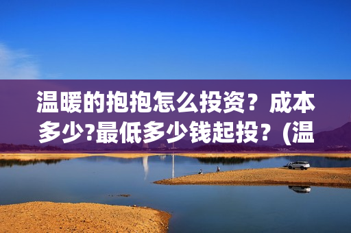 温暖的抱抱怎么投资？成本多少?最低多少钱起投？(温暖的抱抱怎么画)