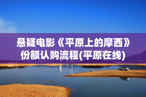 悬疑电影《平原上的摩西》份额认购流程(平原在线)