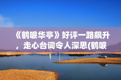 《鹤唳华亭》好评一路飙升，走心台词令人深思(鹤唳华亭说的什么)