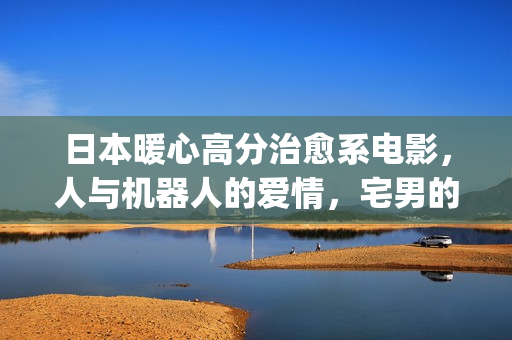 日本暖心高分治愈系电影，人与机器人的爱情，宅男的理想型女友(日本电影温馨治愈)