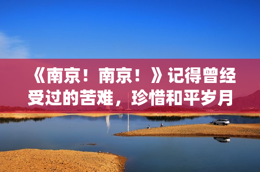 《南京！南京！》记得曾经受过的苦难，珍惜和平岁月(南京南京电影完整版在线看)