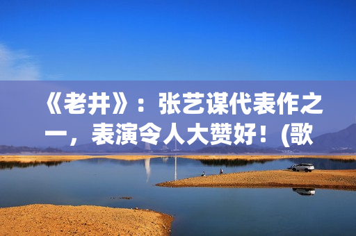 《老井》：张艺谋代表作之一，表演令人大赞好！(歌曲 老井)