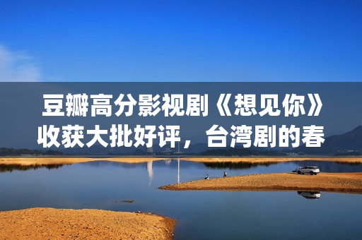 豆瓣高分影视剧《想见你》收获大批好评，台湾剧的春天又来了？(豆瓣高分影视剧有哪些)
