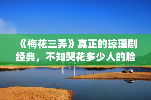 《梅花三弄》真正的琼瑶剧经典，不知哭花多少人的脸(梅花三弄mv)
