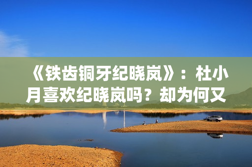 《铁齿铜牙纪晓岚》：杜小月喜欢纪晓岚吗？却为何又两次嫁人？(《铁齿铜牙纪晓岚》片头曲)