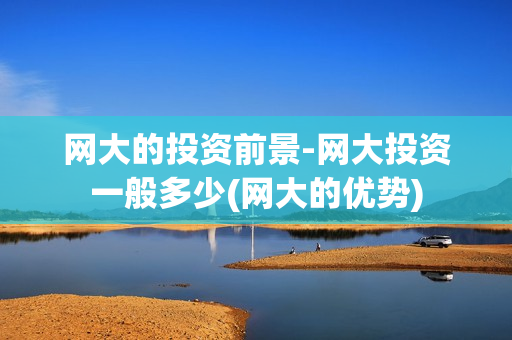 网大的投资前景-网大投资一般多少(网大的优势)