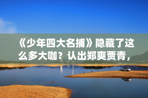 《少年四大名捕》隐藏了这么多大咖？认出郑爽贾青，却没认出她！(少年四大名捕林峰)