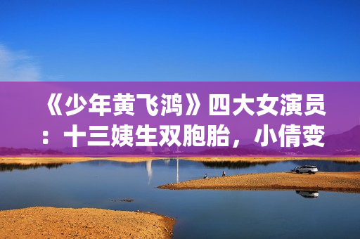 《少年黄飞鸿》四大女演员：十三姨生双胞胎，小倩变美，最红是她(少年黄飞鸿之铁马骝免费观看)