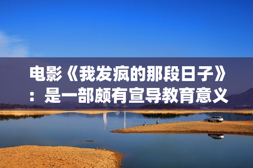 电影《我发疯的那段日子》：是一部颇有宣导教育意义的好作品！(我发疯了)