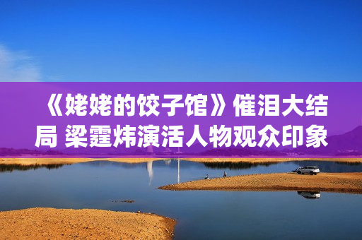 《姥姥的饺子馆》催泪大结局 梁霆炜演活人物观众印象深刻(姥姥的饺子馆大结局)