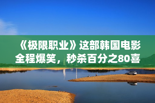 《极限职业》这部韩国电影全程爆笑，秒杀百分之80喜剧片！(极限职业讲的是什么)