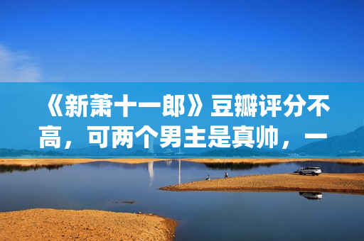 《新萧十一郎》豆瓣评分不高，可两个男主是真帅，一个比一个养眼(新萧十一郎 电视剧)