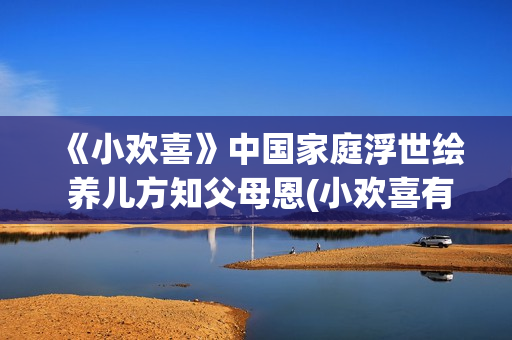 《小欢喜》中国家庭浮世绘 养儿方知父母恩(小欢喜有多火)