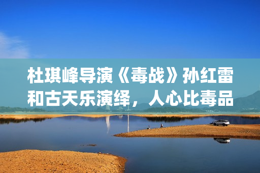杜琪峰导演《毒战》孙红雷和古天乐演绎，人心比毒品更可怕(杜琪峰的电影大全)