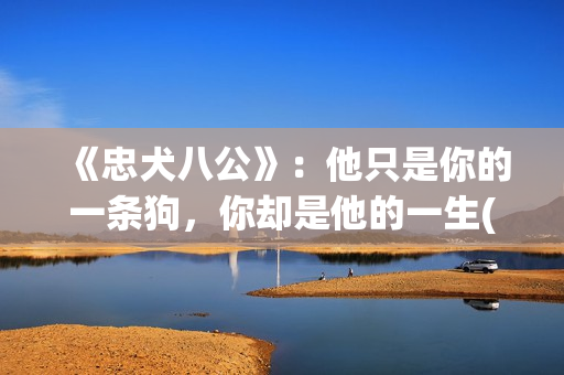 《忠犬八公》：他只是你的一条狗，你却是他的一生(忠犬八公导演是谁)