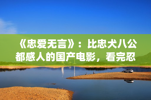 《忠爱无言》：比忠犬八公都感人的国产电影，看完忍不住的飙泪！(忠爱无言免费观看全集超清)
